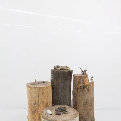 Stephan Schwarz - Most Things Haven't Worked Out